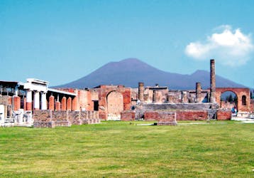 Pompeii & Wine Tasting Tour